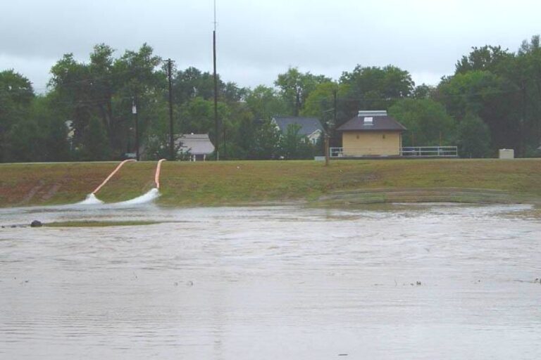 To Levee or Not to Levee?