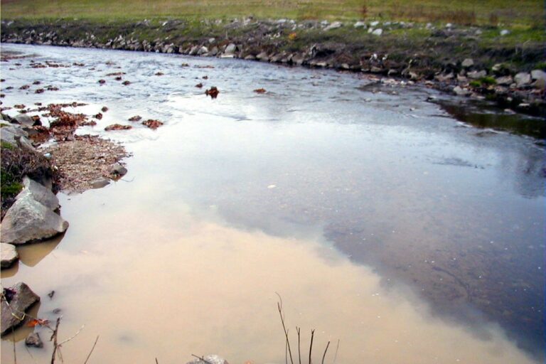 Update for Anacostia River Sediment Project: Comments on Phase I Findings