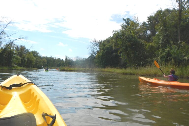 Restoration Transformation