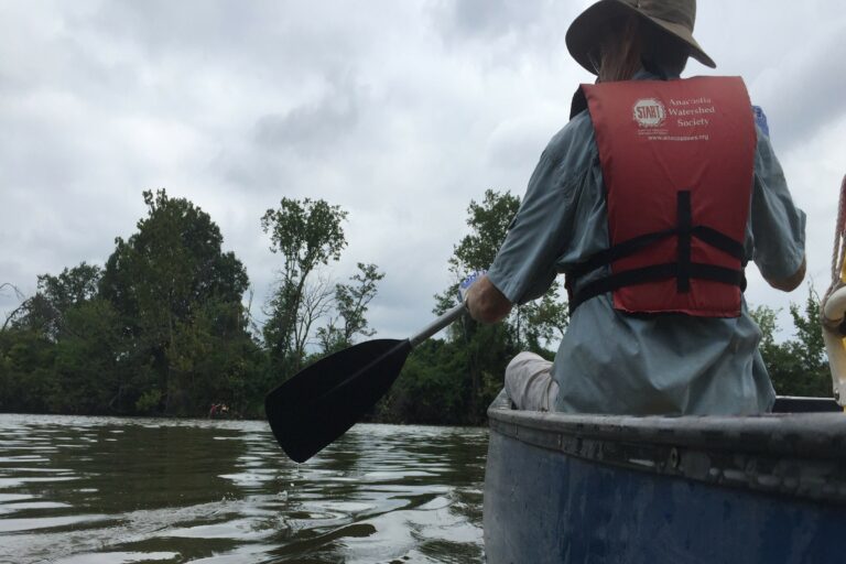 Applications Open Now for Spring & Summer Adult Education Programs!