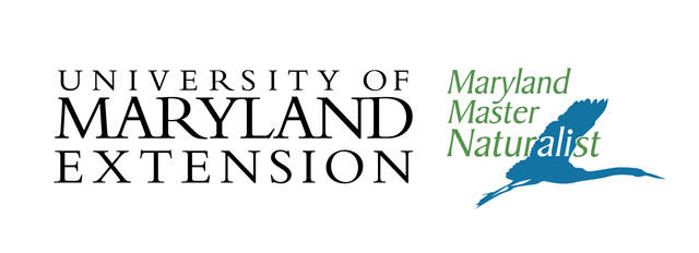 final UMD extension wordmark Master Naturalist