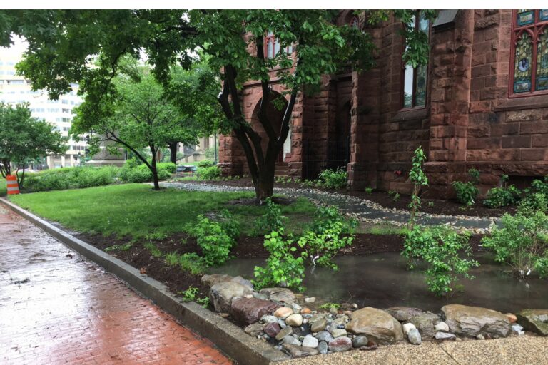 Getting Ourselves Back to the Garden