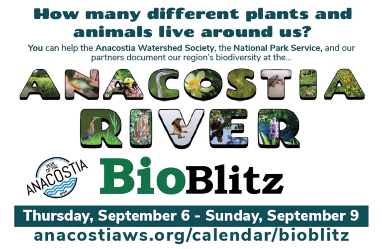 A Census for the Natural World