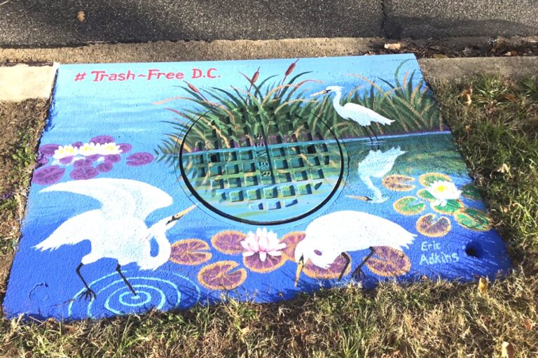 Call For Artists: Storm Drain Murals in Lamond-Riggs