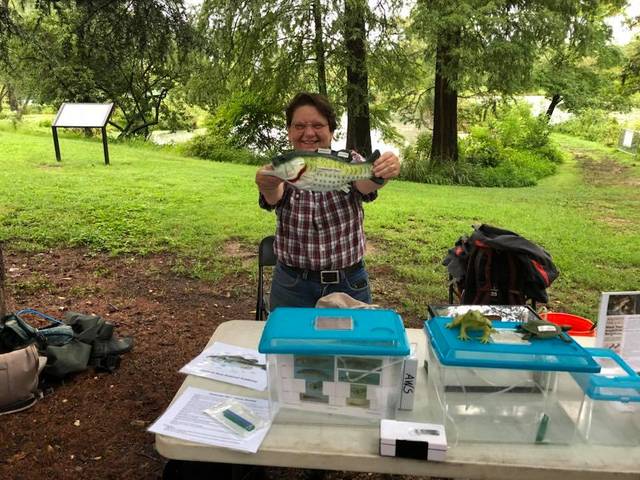 11.17.18 bluebird house construction