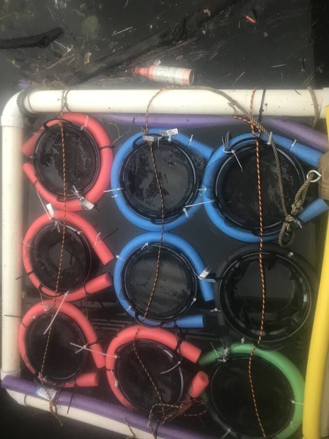 floating baskets at Capital SUP