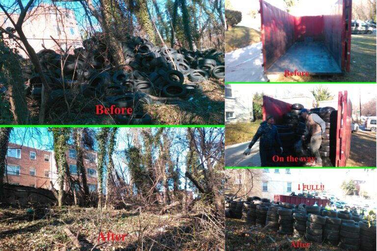Anacostia Watershed Society teams with Mayor’s Office of a Clean City and MPD to clean 492 tires from Fort Dupont