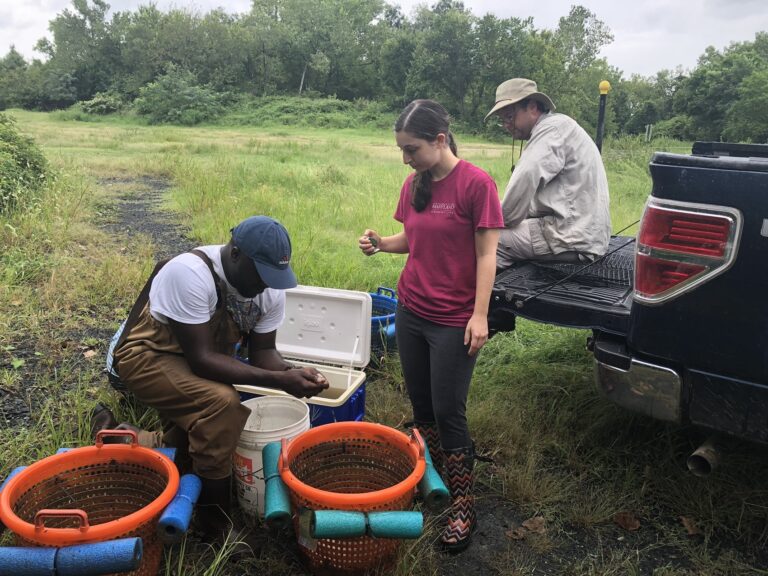 Anacostia River Mussel Power: How Can YOU Help?