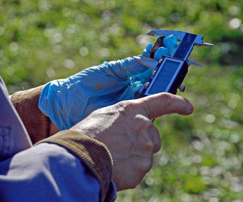 AWS mussel winterizing 12 gtrilling