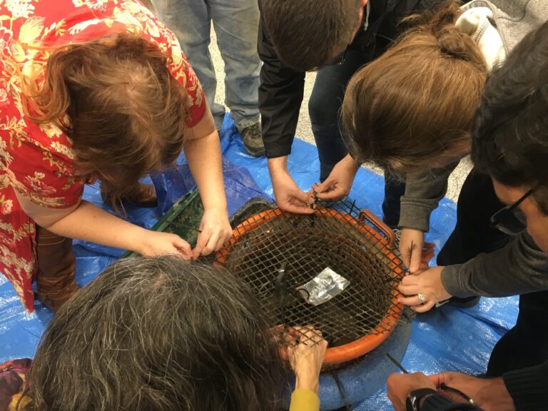 Anacostia River Mussel Power: Teaching the Teachers