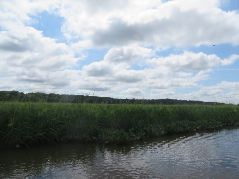 Master Naturalist Program: “A Terrific Way to Spend a Summer”