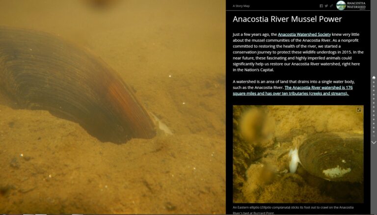 Anacostia River #MusselPower: The Story Map
