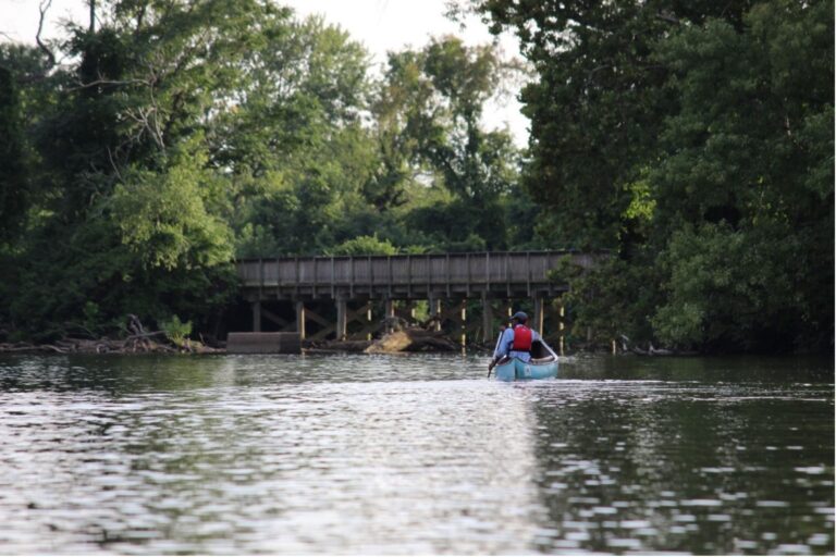 What Does Success Look Like?