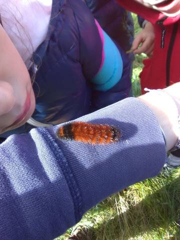 43680102 10156132659743821 3549636718904737792 n