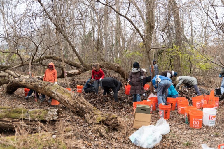Rising to the Sorting Challenge