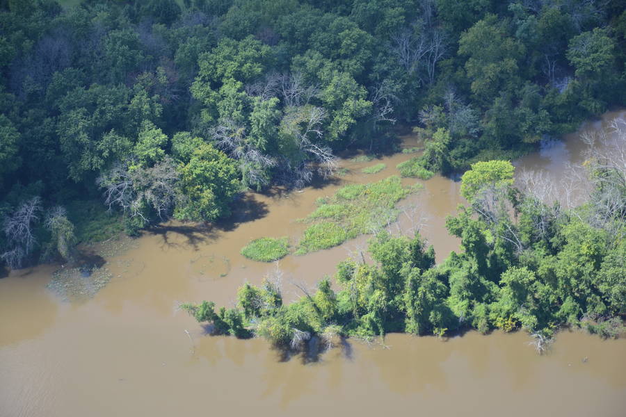 Dueling CReek and Ft. Lincoln Phragmites 3