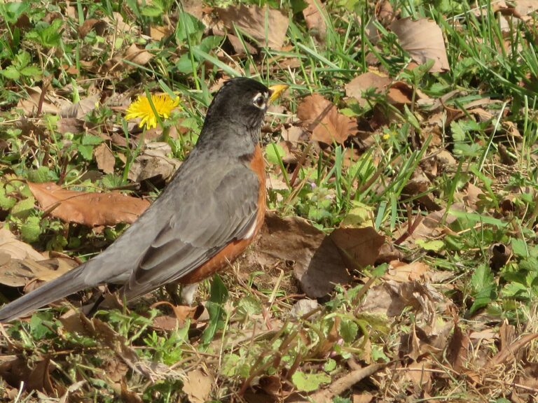 Spring Is Waiting Just Outside Your Doorstep!