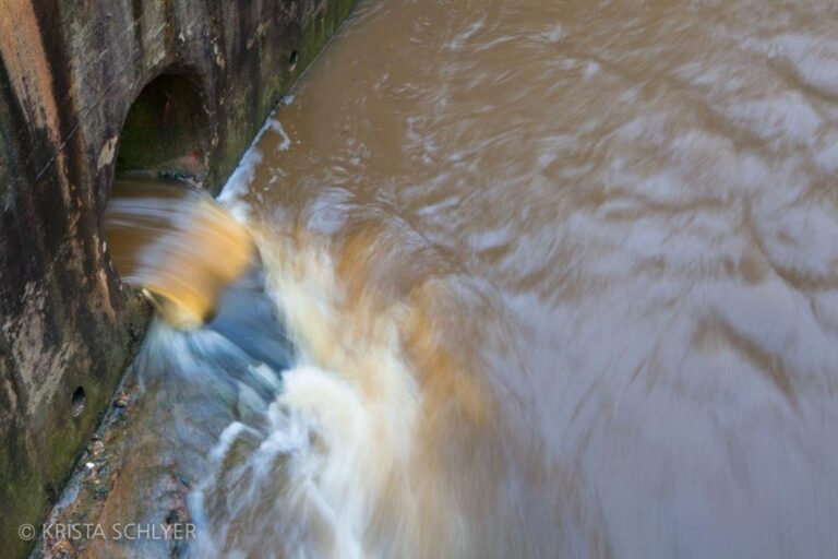 Investigating the Decline of Dissolved Oxygen in the Anacostia River