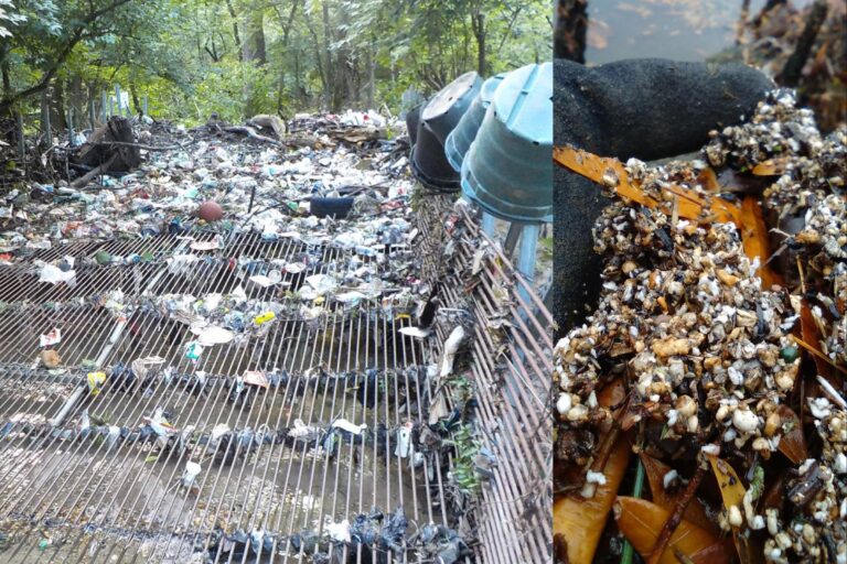 Watch the foam go down