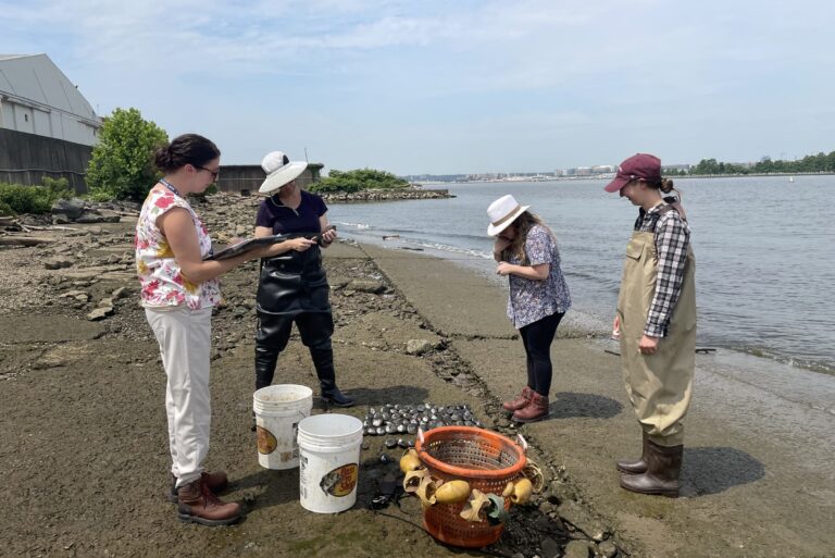 JBAB commits to restoring native mussels to Anacostia, Potomac Rivers