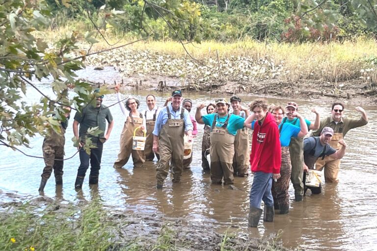 Hitting the Goal of 35,000 Mussels