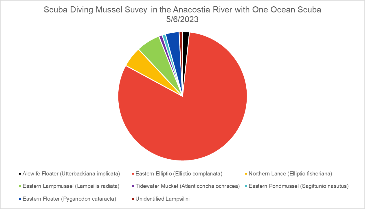 Pie Chart of Species found on May 6 mussel survey