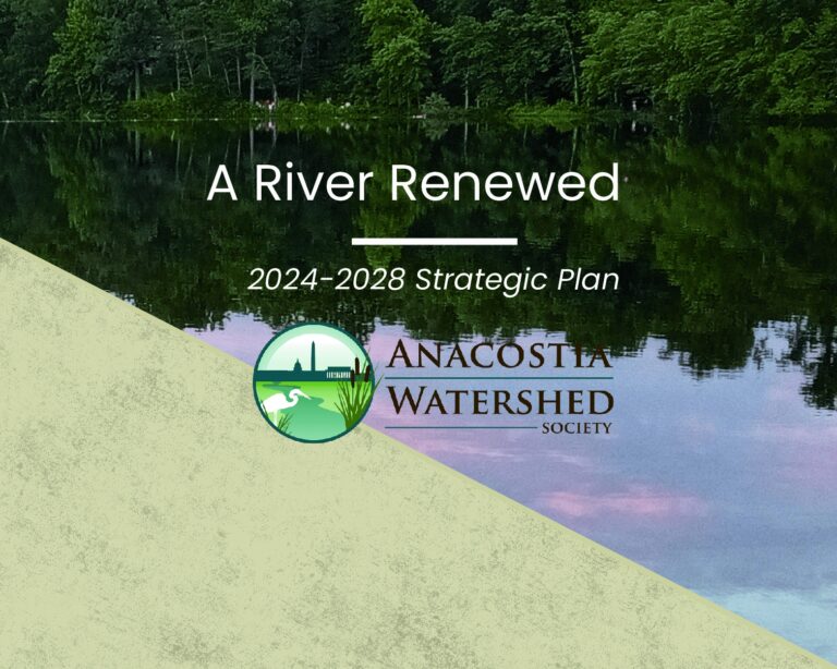 A River Renewed – The AWS 2024-2028 Strategic Plan