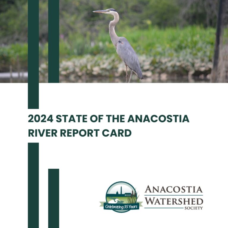 2024 State of the Anacostia River Report – Progress Worth Celebrating!