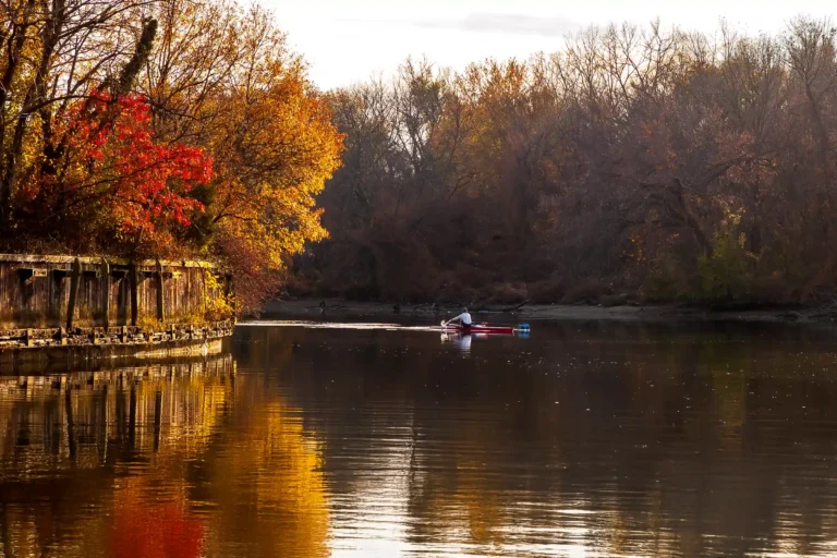 Reflecting on a watershed year
