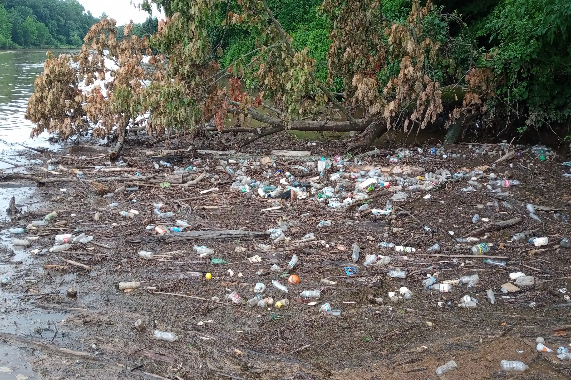 image shows trash floating in the river