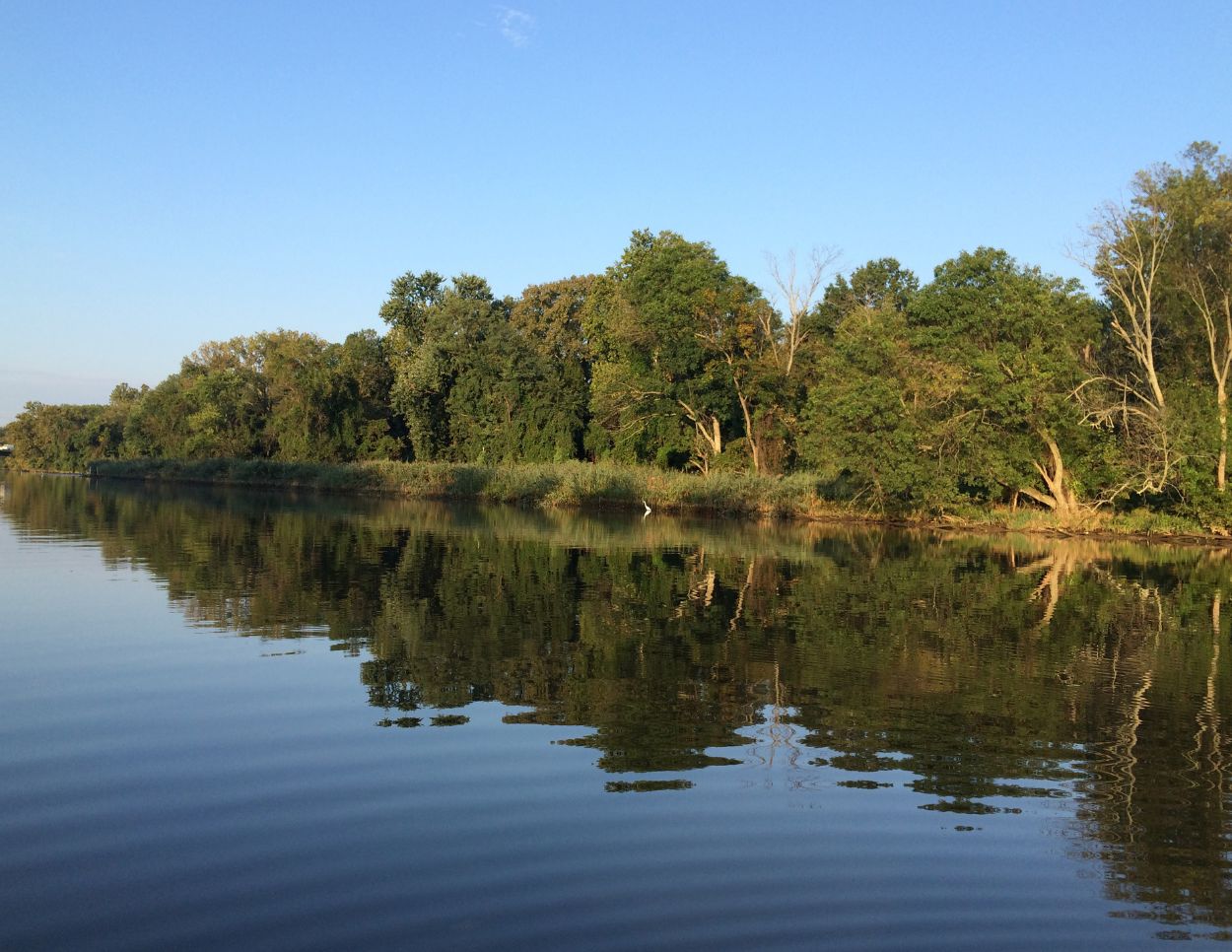 image of river with trees along its banks