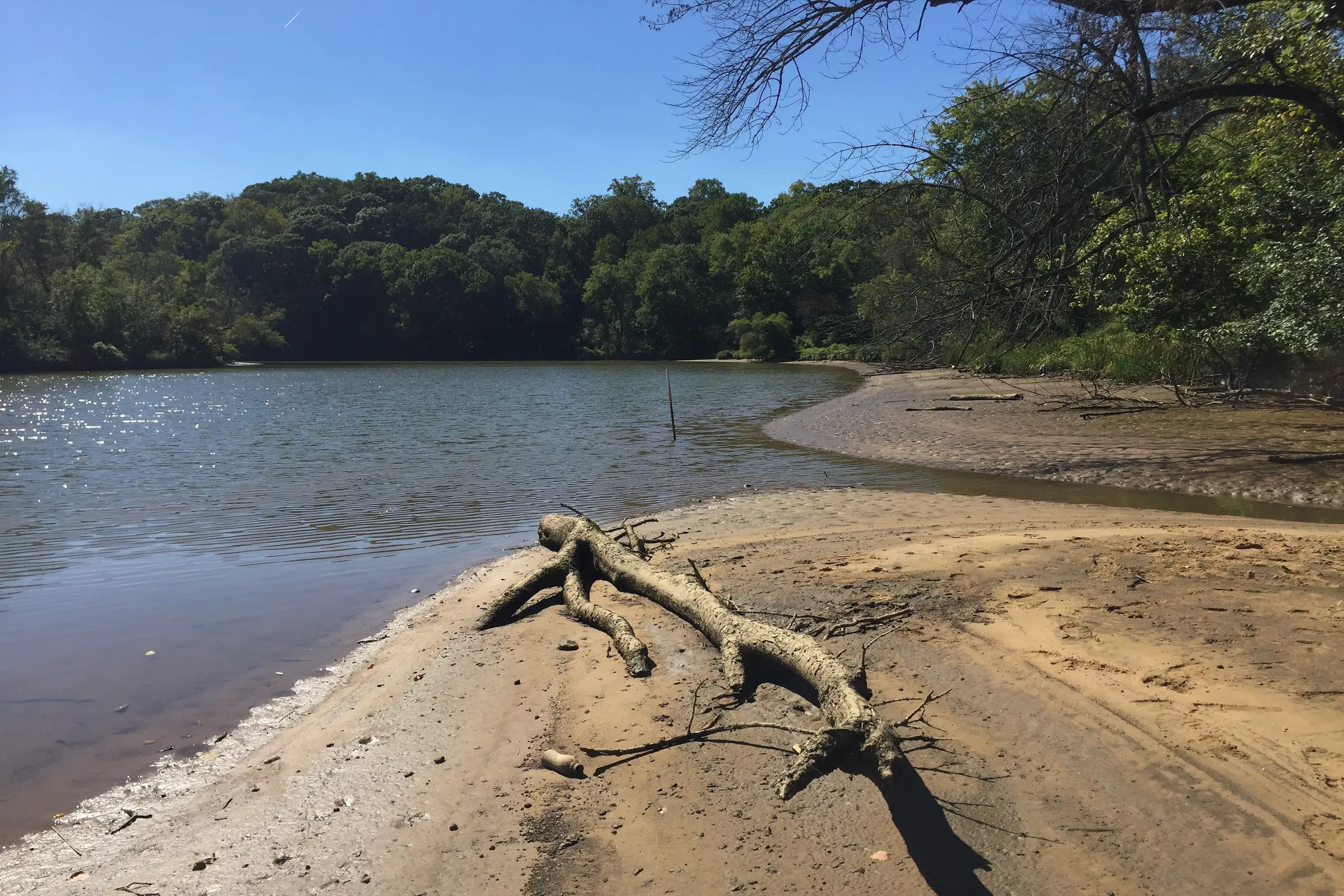 image of river with sandy banks