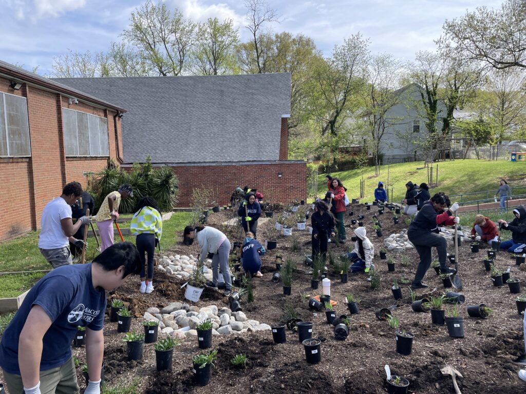 group of people helping to plant trees